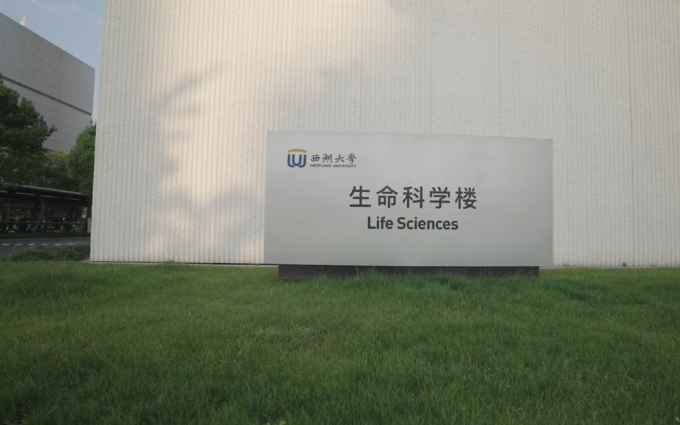 全球第一！西湖大学成功登顶Science，卷赢同行背后黑科技揭秘