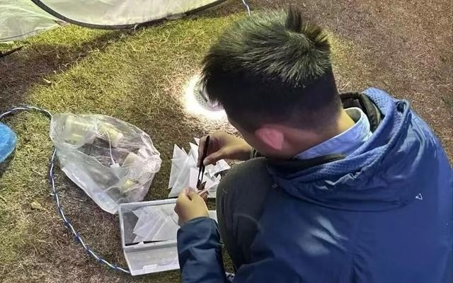 重大突破！SCI权威期刊发表！上海13岁“小孩哥”发现蛾类新物种