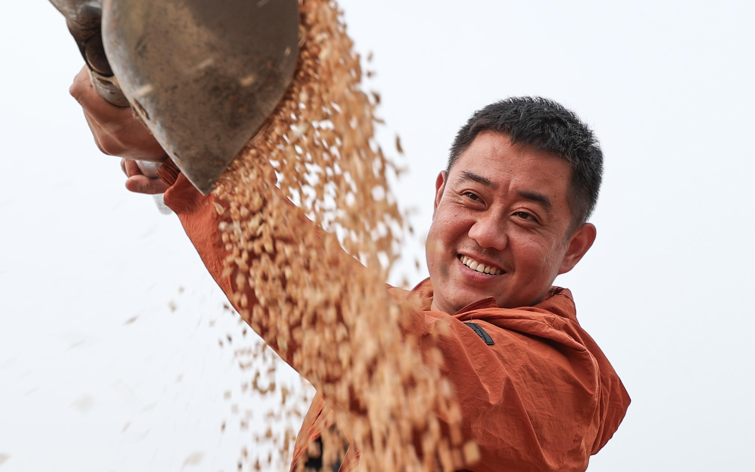 两会通道背后的故事｜高德荣和他的“扬麦”家族