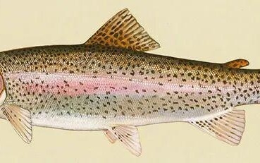 全球最“无聊”实验：99年只干一件事，换了3任教授 ｜ 博览日报