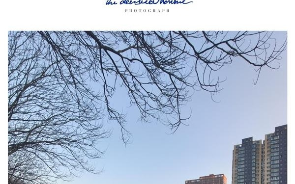 时尚、璀璨、闪耀！OPPO Reno 15评测：6.3英寸掌中影像旗舰！