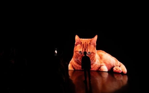真假鸟鸣、猫咪跑酷、孩童游戏……西岸油罐艺术公园1号罐上新