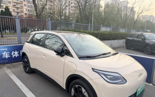 我为什么退定京东首车：租电用户设限、发票地仅上海广州均未明示