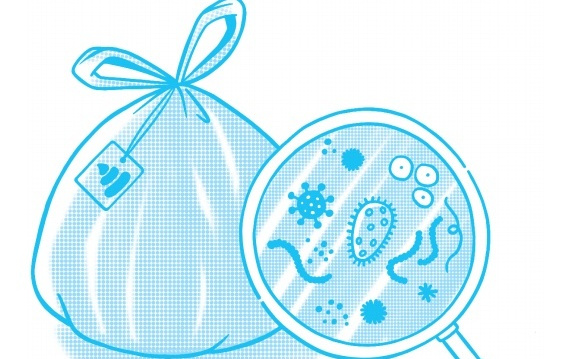 你看到的流星，可能是一坨燃烧的“粑粑”？