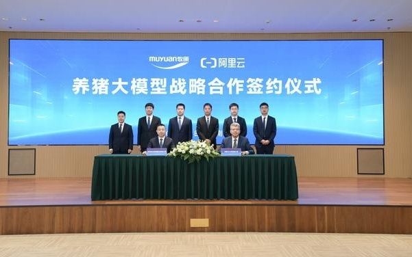 牧原携手阿里云共建养猪大模型 AI赋能传统产业升级