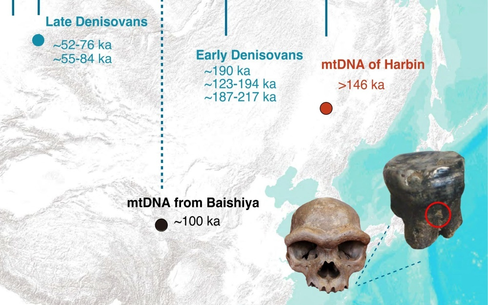 “我们从哪里来”？有了新答案！