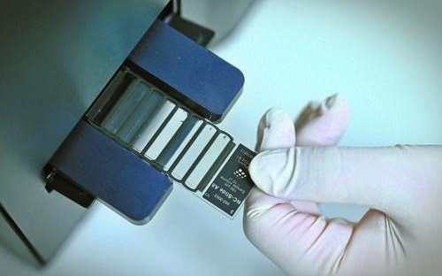 免疫系统竟会叛变？揭秘身体里的“平叛特种部队”，CAR细胞疗法有多能打