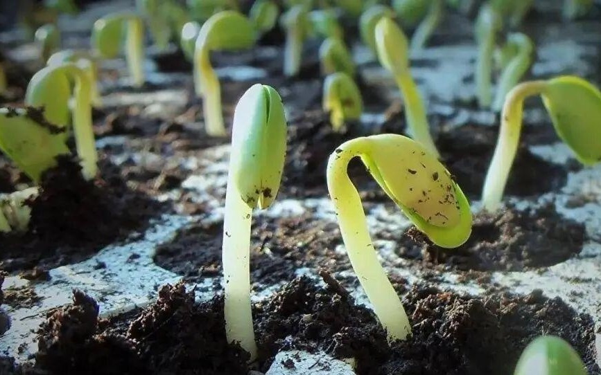 国家航天局发布推进商业航天高质量安全发展行动计划『航天视窗』（1424）