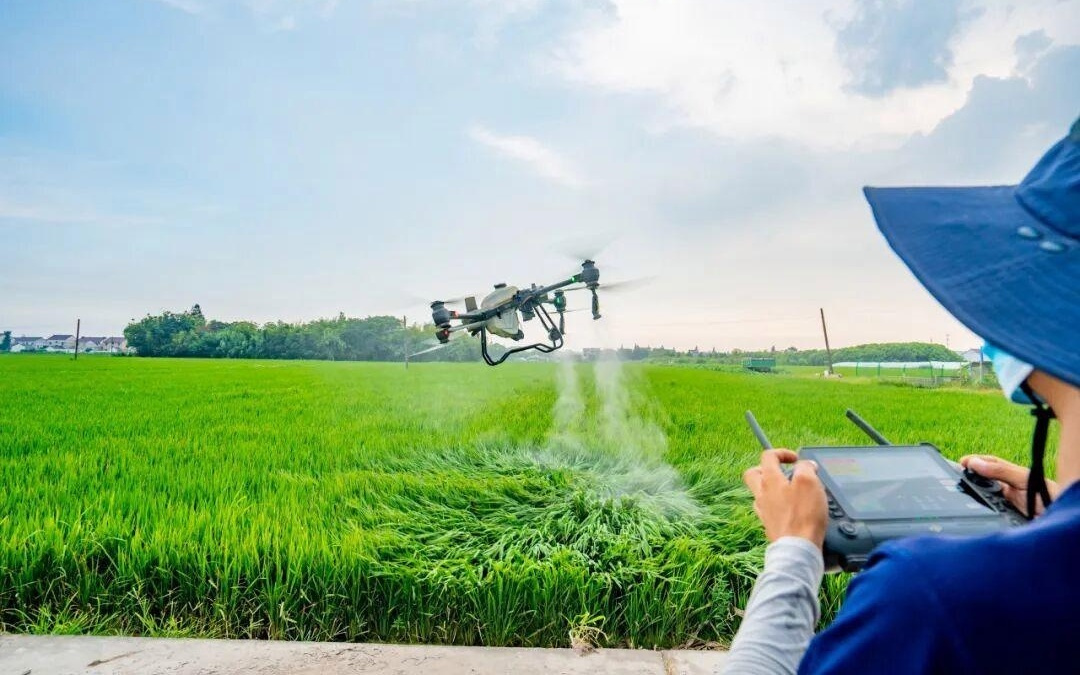 “低空新规”落地，上海农用无人机迎来规范发展新阶段，如何“管住”安全又“放出”活力