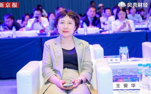 信通院王爱华：开闭源各有特点，开源对AI普惠起到更大作用