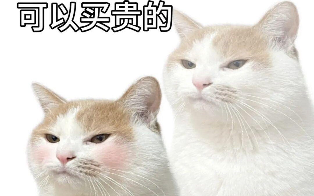 这些不要钱的“办公替身”，正在疯狂收割我的余额。