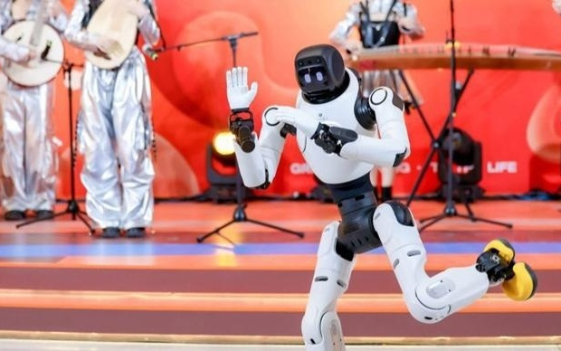 GPDPS 2025闭幕,具身智能“世赛”冠军名单出炉