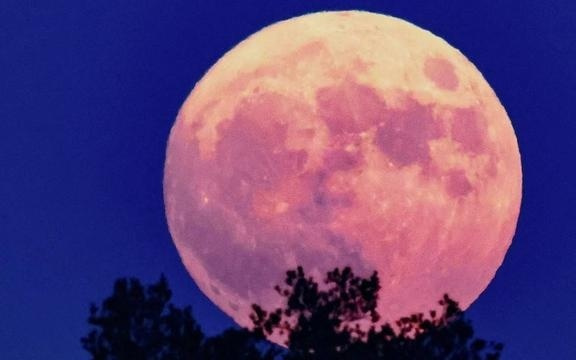 難得 ！2026年元宵節(jié)恰逢月全食丨天問