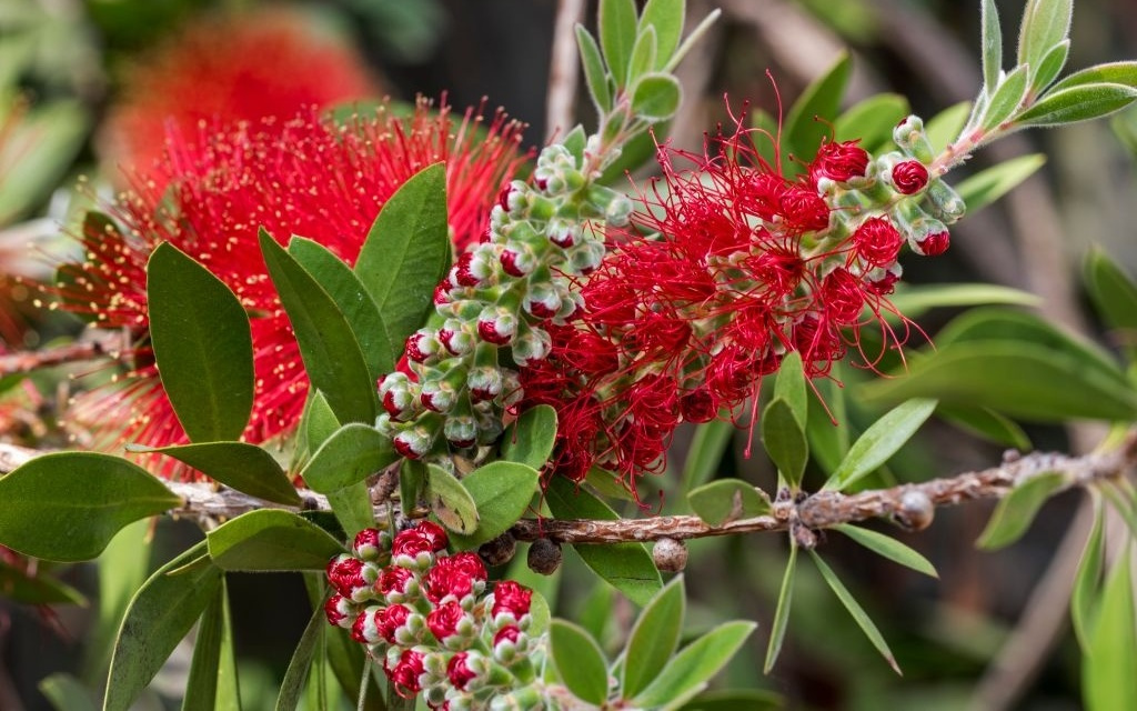服下这种药物后，他的血液让蚊子中毒身亡｜博览日报