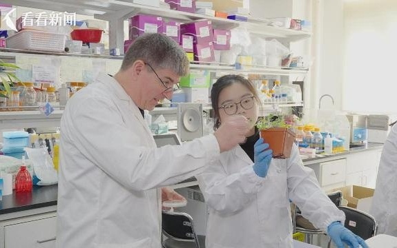 上海科创用定力雄心 为"十五五"发展撑起新支点