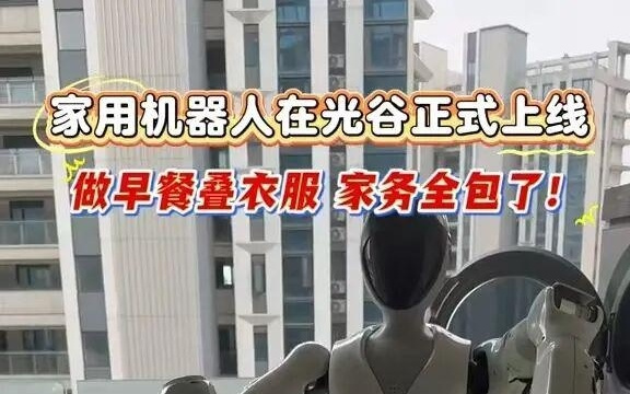 机器人“保姆”来了!中国首个家庭通用机器人落地武汉