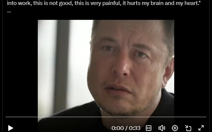 马斯克还会重返政坛？SpaceX首次警告投资者潜在风险