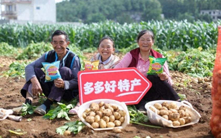 拼多多Q2营收1040亿 陈磊：外部环境变化，坚持长期主义不动摇