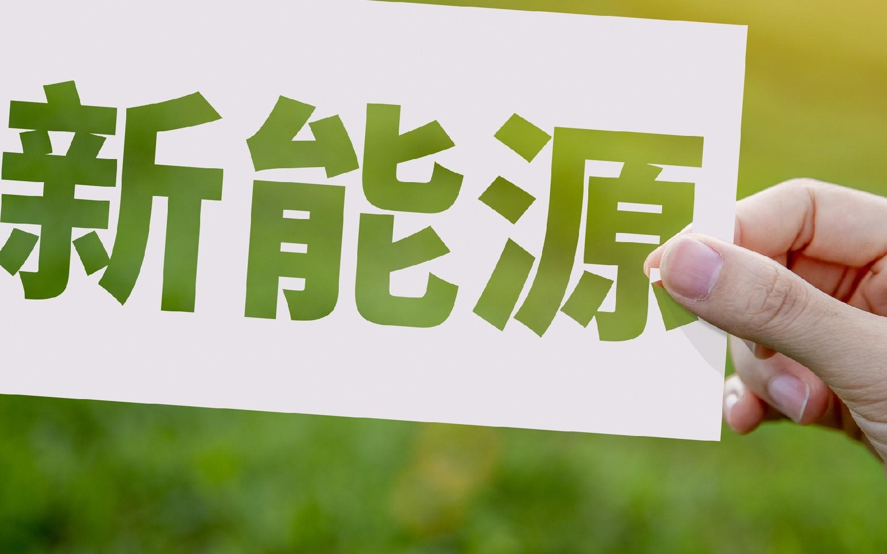 龙头有色押注新能源