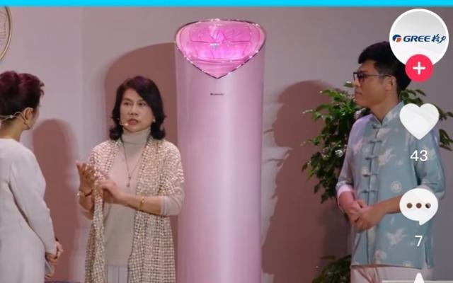 董明珠回应玫瑰空调争议：你不喜欢有人喜欢，我就要坚持创新