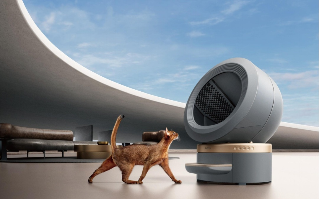 重做「AI 宠物」生态，灵尾纪元完成首轮数千万融资