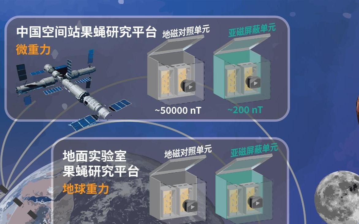 新增31个科学与应用项目 2025年中国空间站成果“上新”