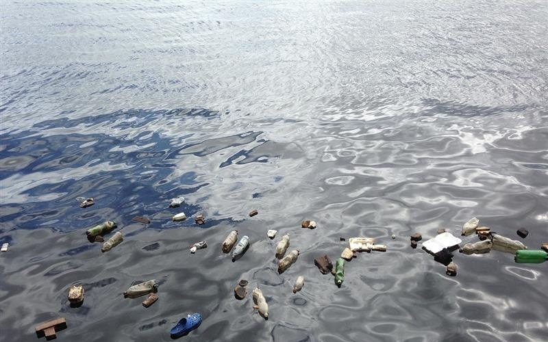 每年人均摄入5万+颗粒！微塑料加紧“入侵”大脑，人类智商扛得住吗？