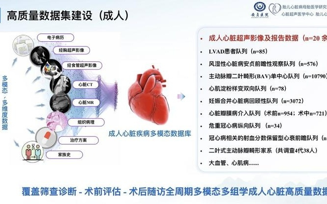 北京安贞医院何怡华教授：AI医疗不止于技术突破，核心使命是向基层输送诊疗能力｜GAIR 2025