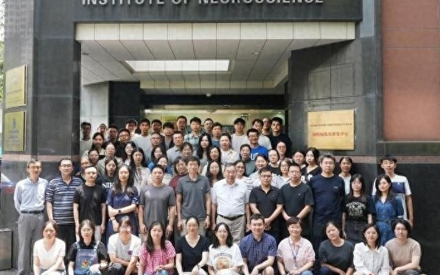 解密大脑“微观地图” 中国科学家领衔取得批量脑图谱成果