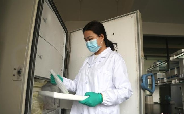 探访中国西北规模最大马铃薯基因库