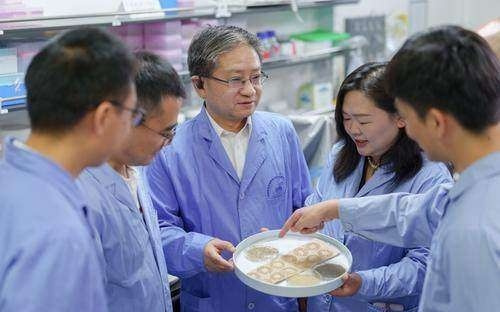 全球首张！重庆科学家绘制家蚕超级泛基因组图谱