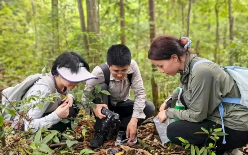 车八岭上新！“撞脸”多年的它，终于拥有了自己的名字
