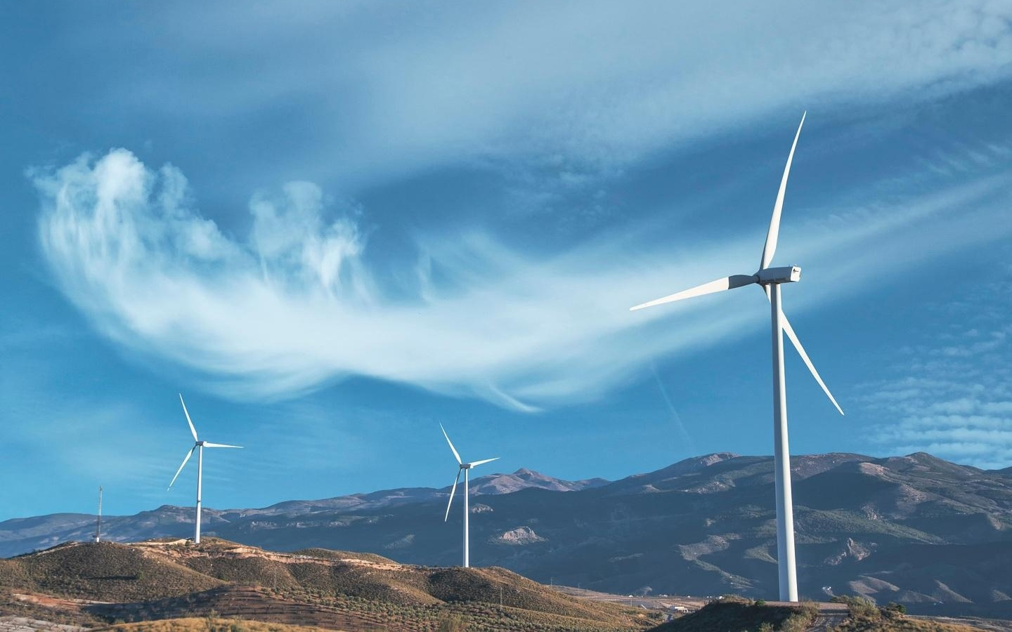 美国能源署报告：今年全美99.2%新增发电装机容量来自可再生能源