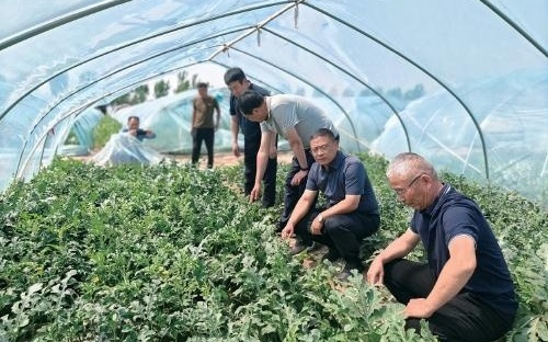 科技赋能 甜蜜升级