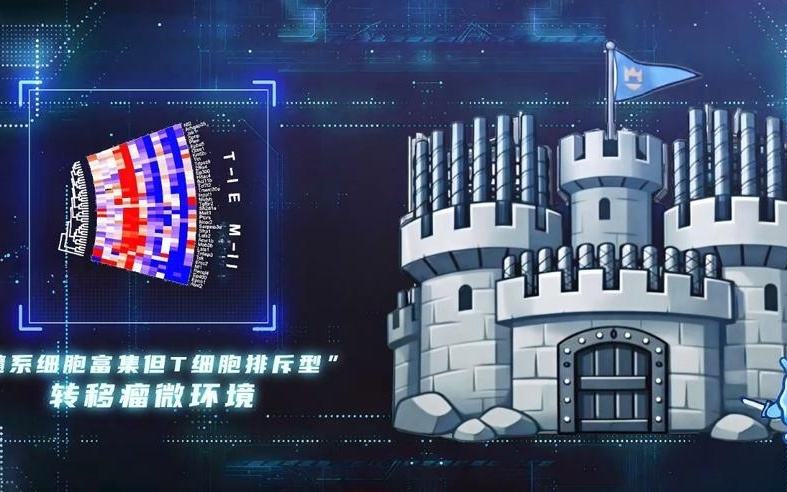 免疫系统为何阻止不了肿瘤转移？这项成果破解谜题，登上《细胞》