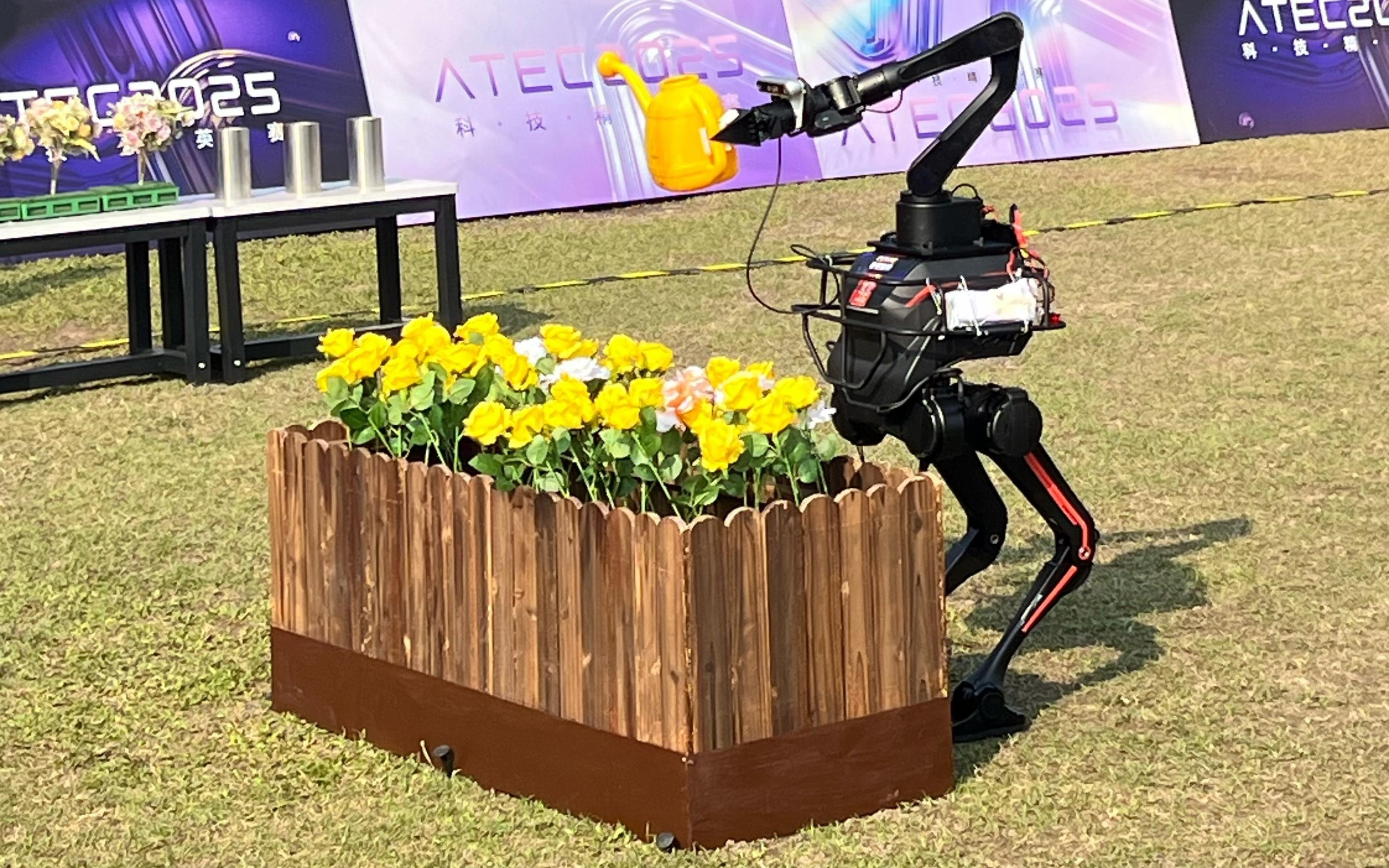 浇花、捡垃圾、玩越野，13支赛队香港比拼机器人“无遥操”