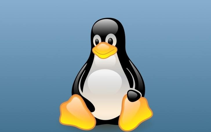 法国政府将放弃微软Windows系统，转投Linux开源阵营