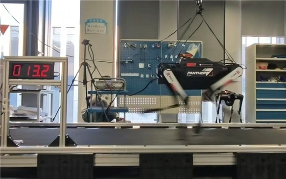 中国“黑豹Ⅱ”机器人挑战世界冠军 镜识科技展现“超物种”实力