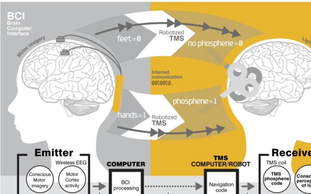 首款侵入式器械获批，历经半个世纪，脑机接口终入医疗现实