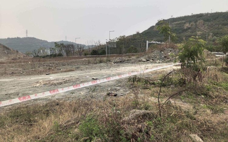 “中央公園挖寶”官方最新回應：確有常見化石，呼吁保護勿開挖