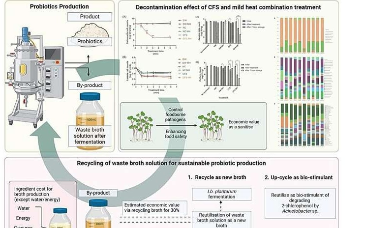 科学家将酸奶、泡菜发酵废液转化为安全高效的蔬菜清洁剂