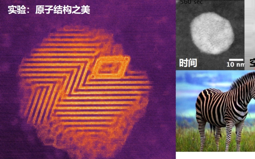 张泽中：“成吉思汗的骑兵”和“装甲部队”：AI如何重造科学仪器 | AI for Science 沙龙