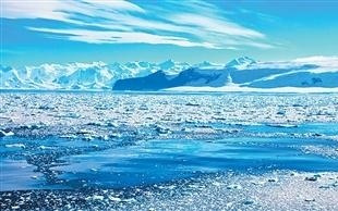 气候越暖,南极冰间湖越“吸碳”?