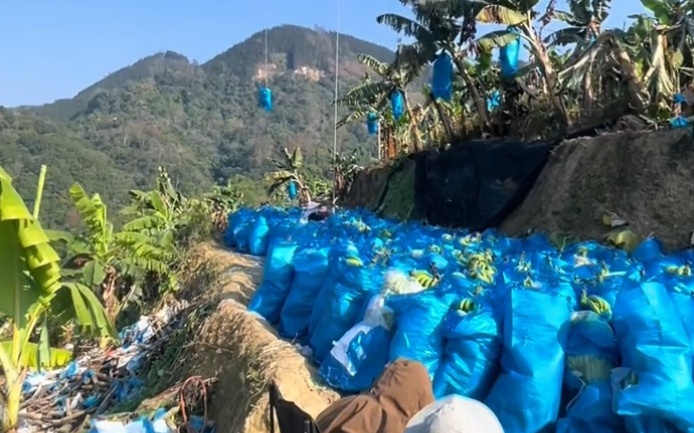 高科技接地气，无人机飞猪，机械狗拉货