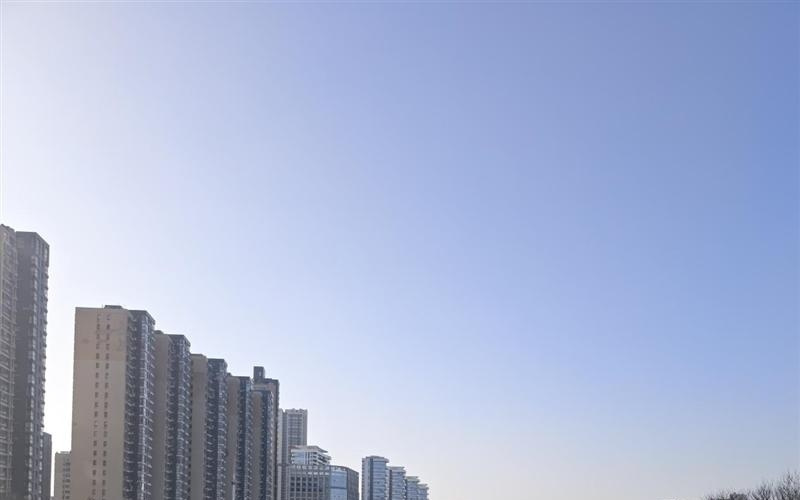 稳步迭代，全面超越：vivo S50 Pro mini 评测：小直屏旗舰的进化标杆