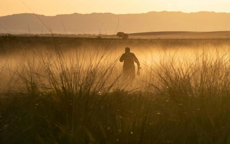 2026，不要再让自己活在幻觉里
