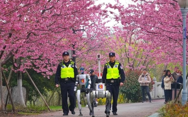 2026上海樱花节采用分时分区新模式，机器人机器狗一起来安保