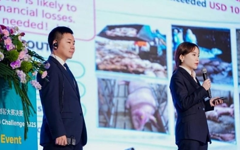 拼多多发布Q3财报,新电商迎创业十周年,加大投入反哺生态回馈社会