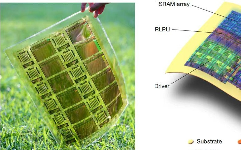 世界首款柔性存算芯片｜维信诺与清北合作成果亮相Nature