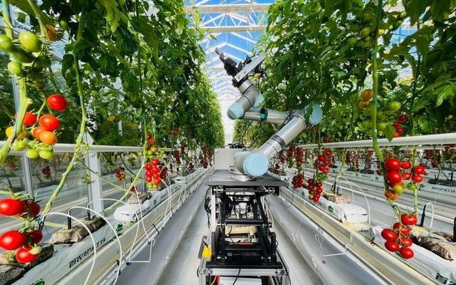 海评面:“世界应重视中国的科技领导力”